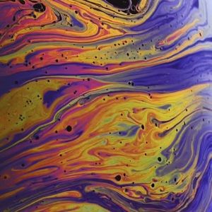 Meet your Posher, Rylee